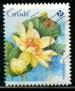 3091 Canada P Lotus Flowers SA, used