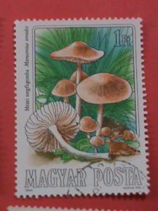 HUNGARY STAMP: COLORFUL BEAUTIFUL LOVELY MUSHROOM USED STAMPS SET.LARGE STAMPS.