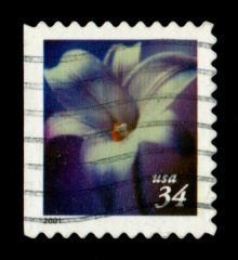 United States #3487 used