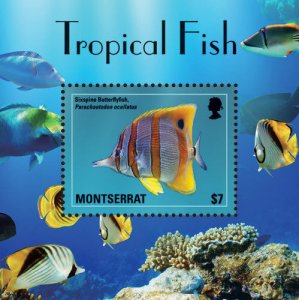 Montserrat 2014 - TROPICAL FISH - SOUVENIR STAMP SHEET - Scott #1356 - MNH