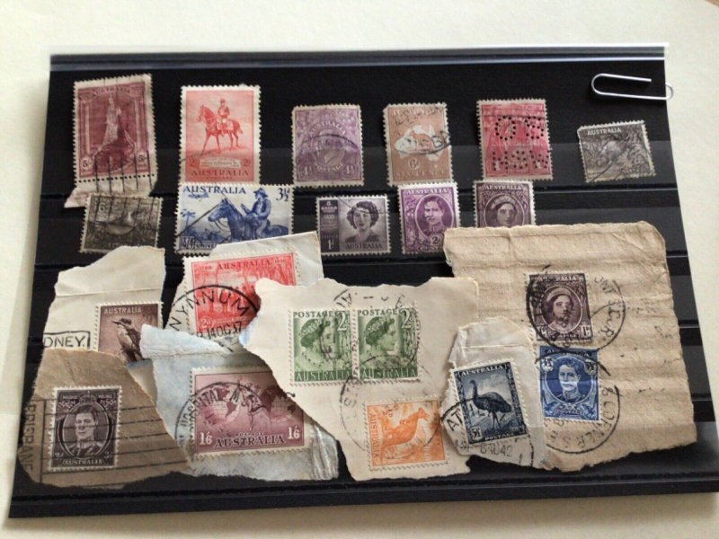 Australia interesting collection mounted mint and used postage stamps A11743