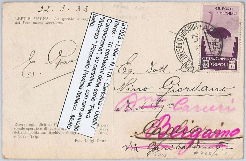 LIBYA -  POSTAL HISTORY - Sassone 118 on POSTCARD - BIRD - NICE!  1933