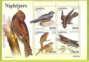 B0528 - LIBERIA - MISPERF ERROR Stamp Sheet - 2022 - BIRDS, Nightjars-