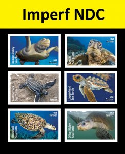 US 5865a-5870a Protect Sea Turtles imperf NDC set 6 MNH 2024