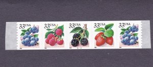 PNC5 33c Berries SA B2222 US 3305a MNH F-VF