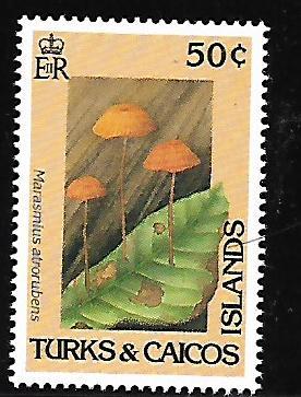TURKS & CAICOS 927 MNH MUSHROOMS 1991