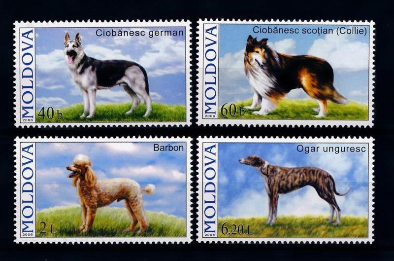 [39462] Moldova 2006 Animals Dogs MNH