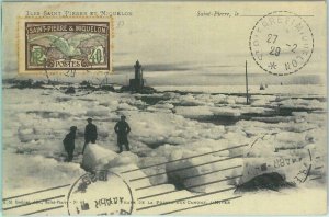 87585 - Saint Pierre and Miquelon - Postal History - POSTCARD to ARGENTINA Birds