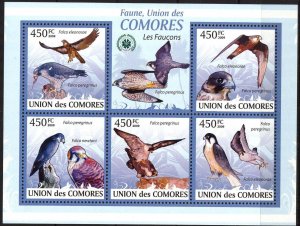 Comoro Islands 2009 Birds (4) Falcons Sheet MNH