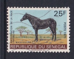 Senegal   #338   used   1971  horses  25fr