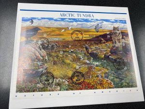 US 3802 Arctic Tundra ON BIG ENVELOPE AS ISSUE 2003