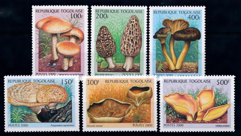 [68850] Togo 2000 Mushrooms Pilze Champignons  MNH