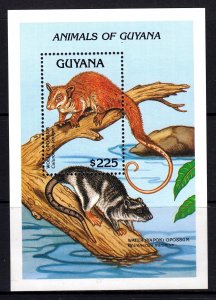 Guyana 1992 Animals - Wooly Opossum Mint MNH Miniature Sheet SC 2617