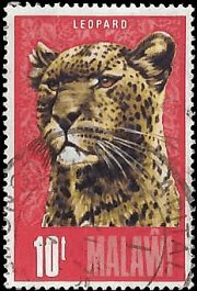 MALAWI   #260 USED (1)