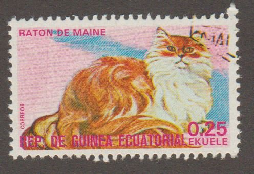 708 Cats - 1975