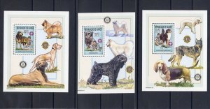 2002 Scouts Rotary Lions Guinea dogs set of 3 SS