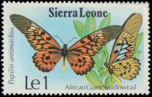 Sierra Leone #447-450, Complete Set(4), 1979, Butterflies, Never Hinged