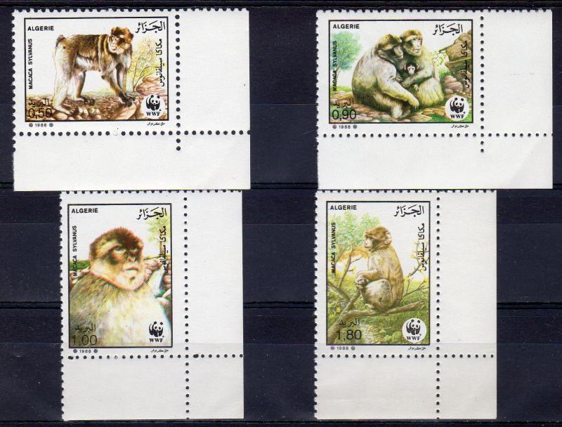 Algeria 1988 Sc#872/875 WWF Barbary Apes Set (4) Perforated MNH