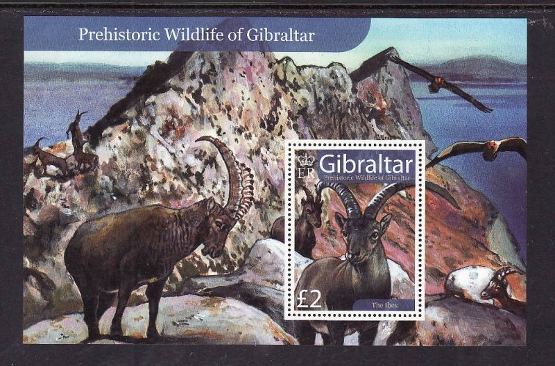 Gibraltar-Sc#1103-unused NH sheet-Prehistoric Wildlife-2007-