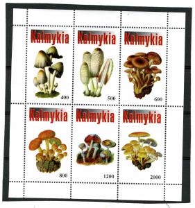 Kalmykia 1998 (Russia local) MUSHROOMS Sheet Perforated Mint (NH)