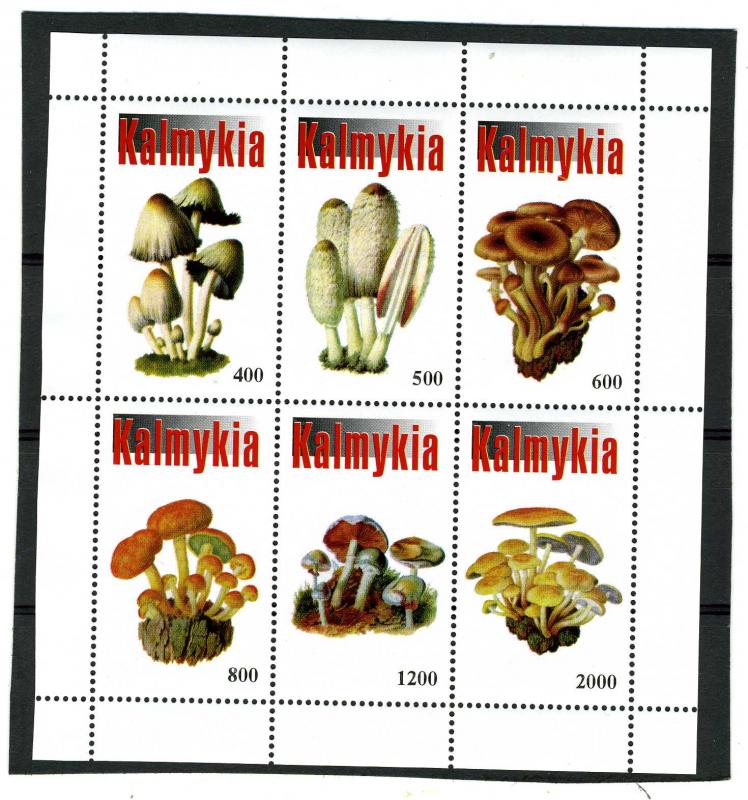 Kalmykia 1998 (Russia local) MUSHROOMS Sheet Perforated Mint (NH)