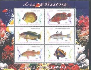 Burundi 2009 Fish Marine Life Poissons Animal Stamps MNH (2)