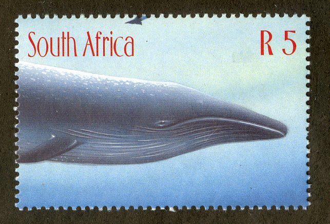 SOUTH AFRICA 1095 FROM SS BIN $.75 MARINE LIFE