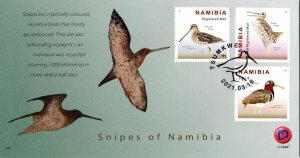 Namibia - 2021 Snipes FDC