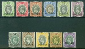 SG 10-20 Southern Nigeria 1903-04. ½d to £1 set of 11, overprinted specimen...