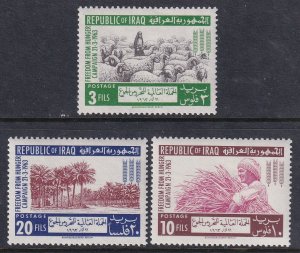 Iraq 333-335 MNH VF