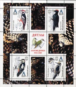 ALTAY SHEET BIRDS