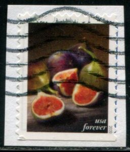 5493 US (55c) Fruits & Vegetables - Figs SA bklt, used on paper