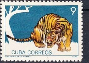 Cuba    Sc# 896 NATIONAL ZOO ANIMALS  Tiger  9c    1964  MNH