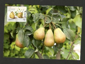 SERBIA-MC-MK-EUROPEAN NATURE PROTECTION-FLORA-FRUITS-PEAR-2015.