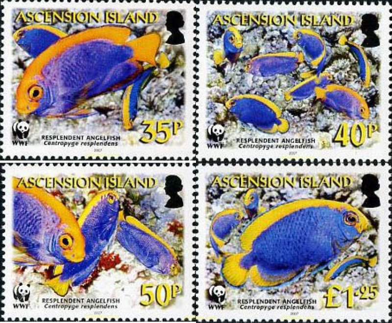 201539 MNH ASCENSION 2007 PECES