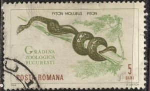 Romania 1677 (postally used) 5b Bucarest Zoo: Indian python (1964)