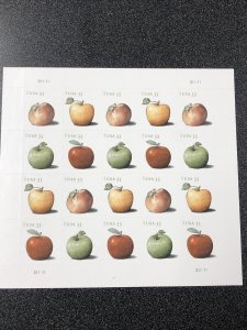 US 4727-30 Apples Sheet of 20 33cents Mint Never Hinged