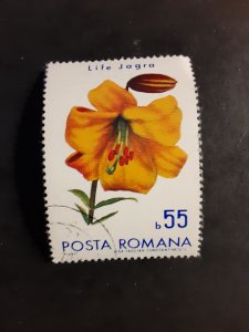 +Romania #2251        CTO