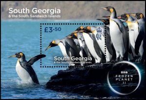 SOUTH GEORGIA 2023 BIRDS PENGUINS FROZEN PLANET BBC OISEAUX VOGEL