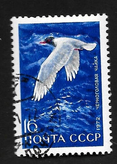 Russia - Soviet Union 1972 - CTO - Scott #3943