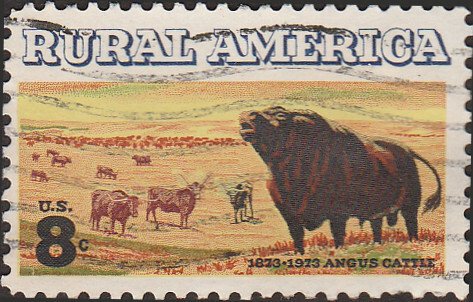 # 1504 USED ANGUS AND LONGHORN CATTLE