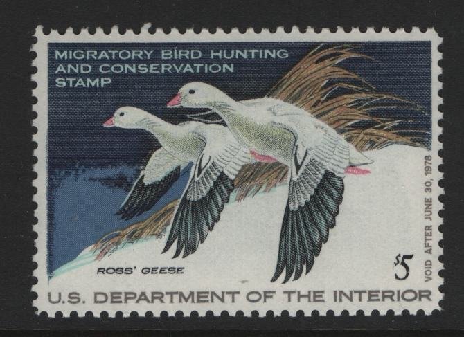 US, RW44, 1977, MNH, DUCK STAMP