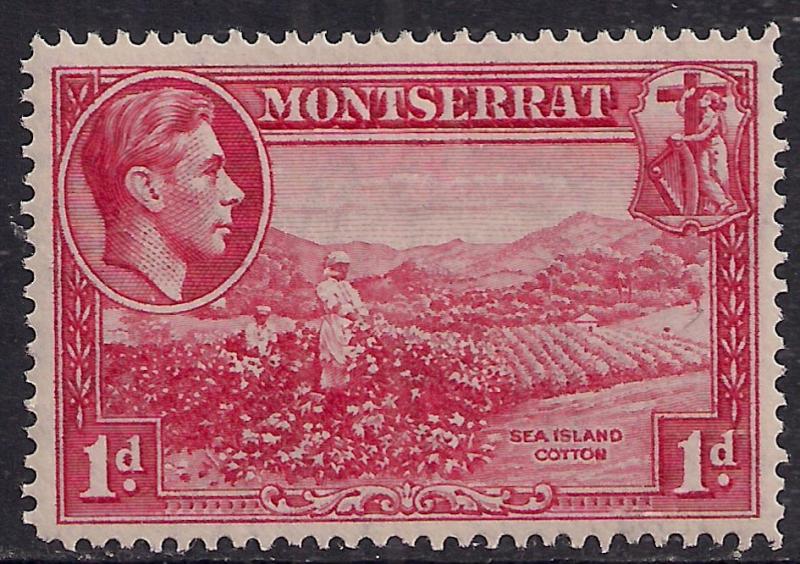 Montserrat 1938 - 48 KGV1  1d Carmine Sea Island Cotton MM SG 102a ( D1178 )