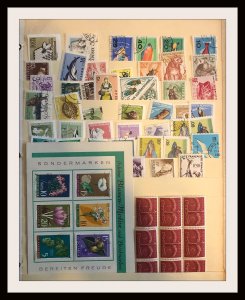 Medium Size Foreign Accumulation