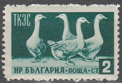 Bulgaria #882  F-VF Unused