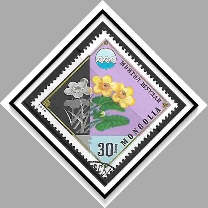 Mongolia #820 Marsh Marigolds CTO
