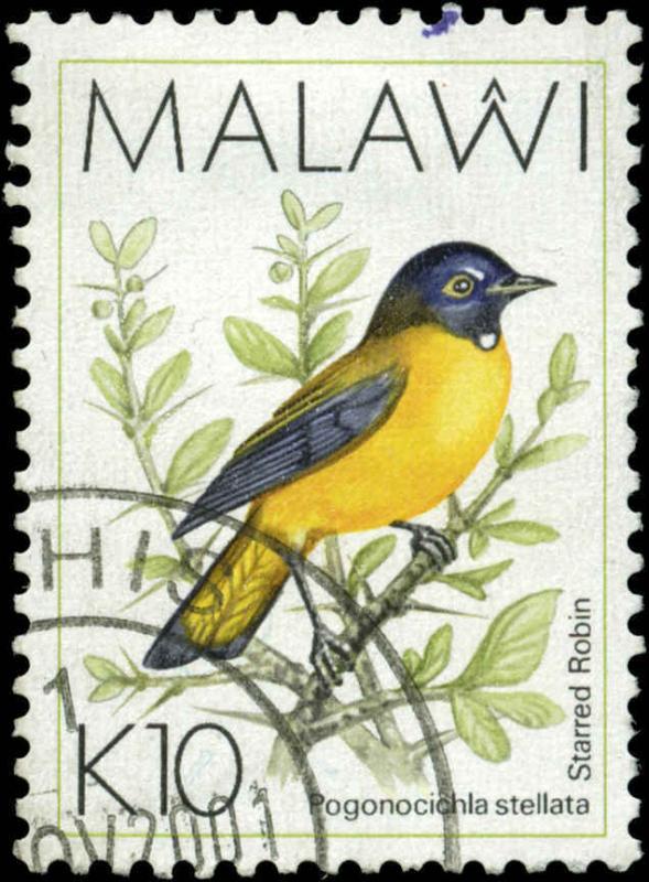 Malawi Scott #533 Used