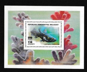 Malagasy # 966, Fish - Souvenir Sheet, Mint NH, 1/2 Cat.