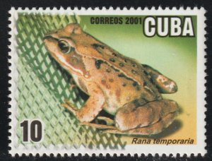 2001 Caribbean Stamps The Common frog Rana temporaria MNH