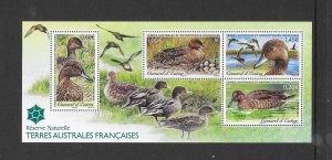 BIRDS - FRENCH SOUTHERN ANTARCTIC TERRITORY #479 S/S MNH